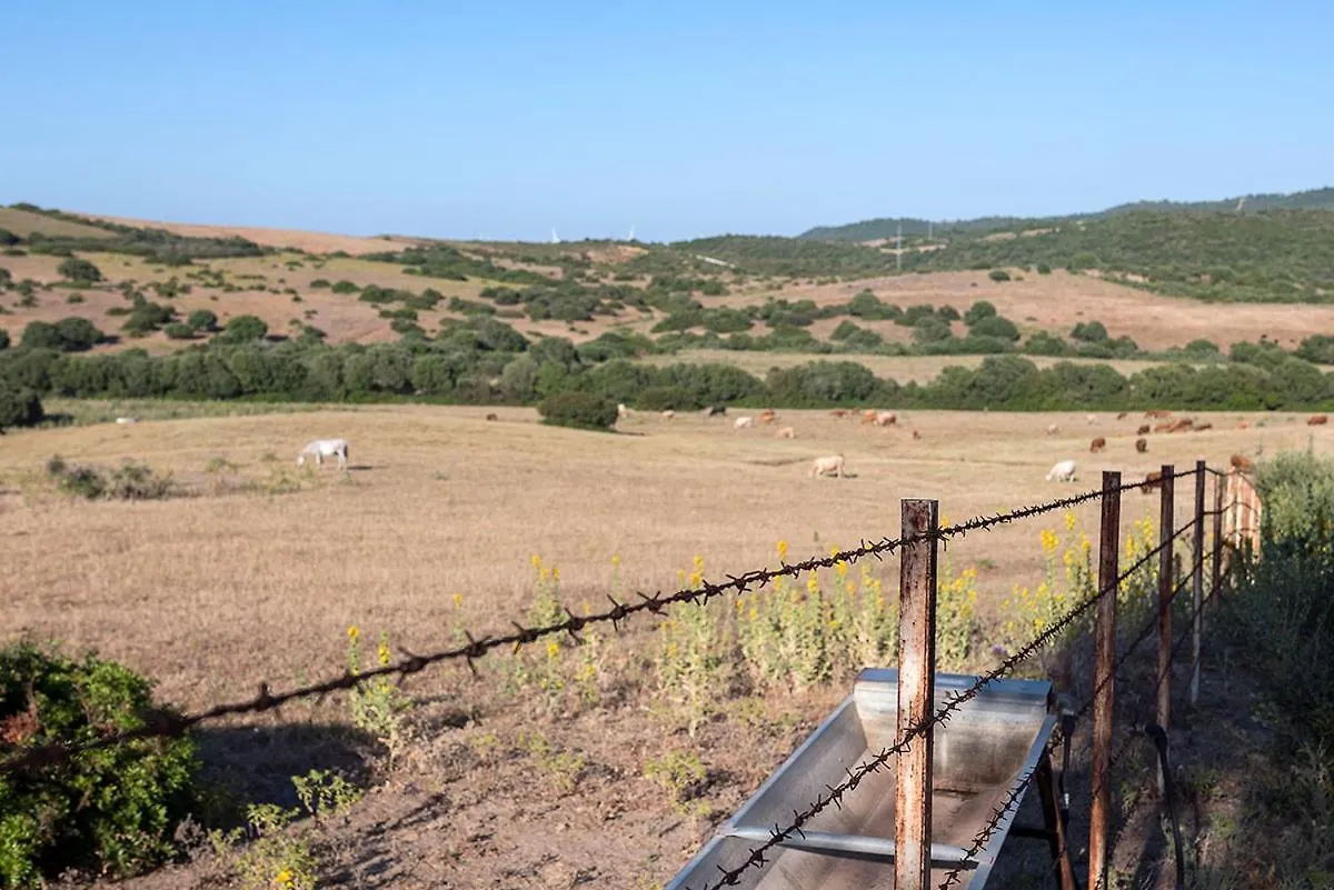 كونيل ذي لا فرونتيرا Cortijo La Mina By Lajuderia De Vejer - Luxury Villa 0*, كونيل ذي لا فرونتيرا