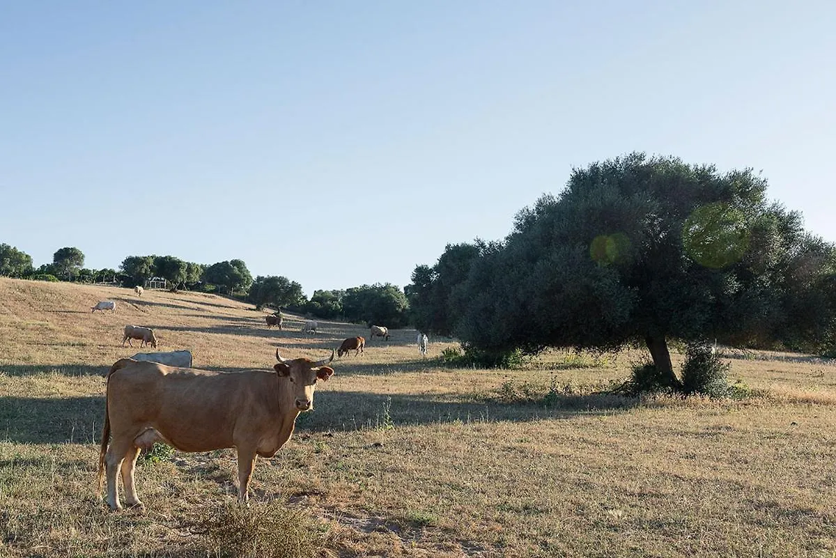 كونيل ذي لا فرونتيرا Cortijo La Mina By Lajuderia De Vejer - Luxury Villa منزل ريفي